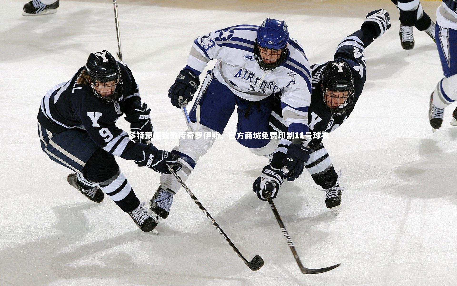 多特蒙德致敬传奇罗伊斯，官方商城免费印制11号球衣